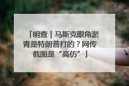明查｜马斯克眼角淤青是特朗普打的？网传截图是“高仿”