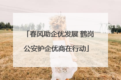 春风助企优发展 鹤岗公安护企优商在行动