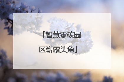 智慧零碳园区崭露头角
