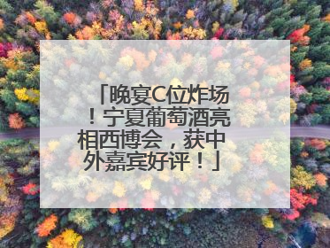 晚宴C位炸场！宁夏葡萄酒亮相西博会，获中外嘉宾好评！
