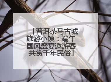 普洱茶马古城旅游小镇：端午国风盛宴邀游客共赏千年民俗