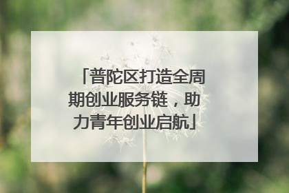 普陀区打造全周期创业服务链，助力青年创业启航
