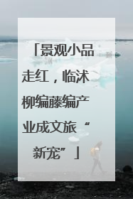 景观小品走红，临沭柳编藤编产业成文旅“新宠”
