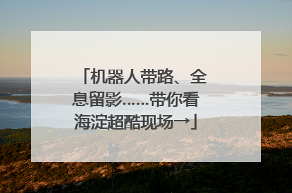 机器人带路、全息留影……带你看海淀超酷现场→