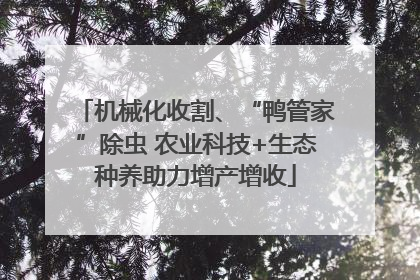 机械化收割、“鸭管家”除虫 农业科技+生态种养助力增产增收