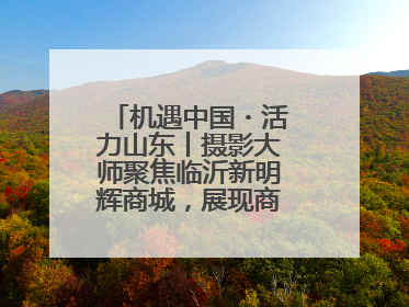 机遇中国・活力山东丨摄影大师聚焦临沂新明辉商城，展现商贸物流新风貌