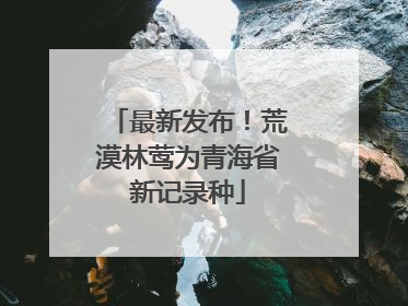 最新发布！荒漠林莺为青海省新记录种