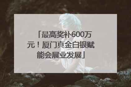 最高奖补600万元！厦门真金白银赋能会展业发展