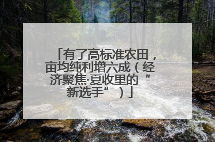 有了高标准农田，亩均纯利增六成（经济聚焦·夏收里的“新选手”）