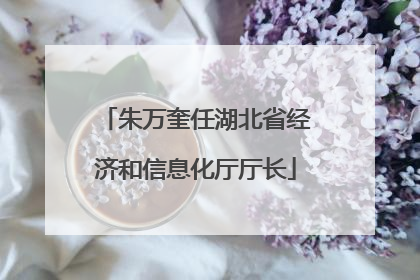 朱万奎任湖北省经济和信息化厅厅长