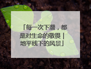 每一次下潜，都是对生命的敬畏｜地平线下的风景