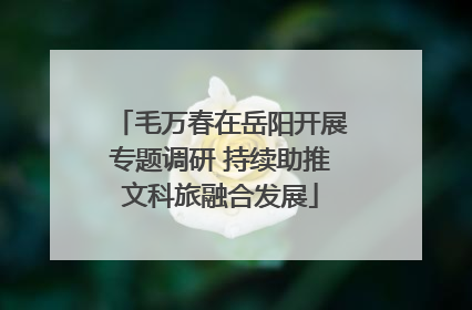 毛万春在岳阳开展专题调研 持续助推文科旅融合发展