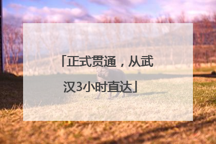 正式贯通，从武汉3小时直达