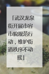 武汉龙泉街开展市容市貌规范行动，维护街道秩序不动摇