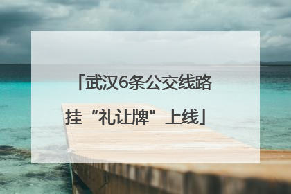 武汉6条公交线路挂“礼让牌”上线