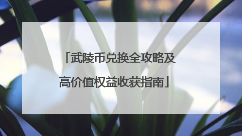 武陵币兑换全攻略及高价值权益收获指南