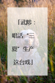 武陟：唱活“三夏”生产这台戏