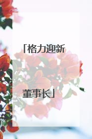 格力迎新董事长
