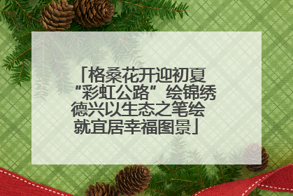 格桑花开迎初夏 “彩虹公路”绘锦绣 德兴以生态之笔绘就宜居幸福图景
