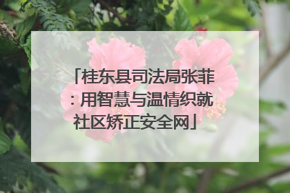 桂东县司法局张菲：用智慧与温情织就社区矫正安全网