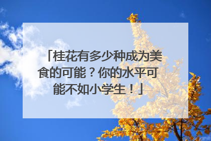 桂花有多少种成为美食的可能？你的水平可能不如小学生！