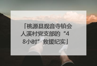 桃源县观音寺镇会人溪村党支部的“48小时”救援纪实
