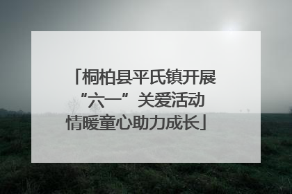 桐柏县平氏镇开展“六一”关爱活动 情暖童心助力成长
