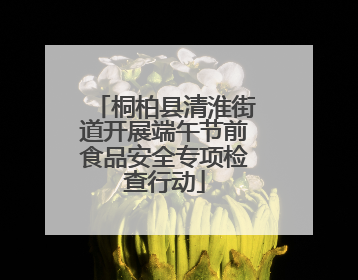 桐柏县清淮街道开展端午节前食品安全专项检查行动