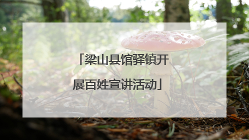 梁山县馆驿镇开展百姓宣讲活动