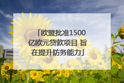欧盟批准1500亿欧元贷款项目 旨在提升防务能力