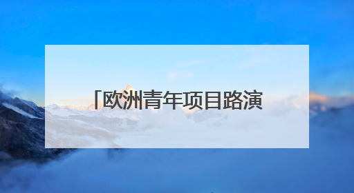 欧洲青年项目路演代表团走进天津