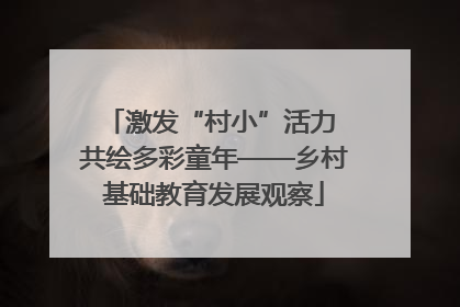 激发“村小”活力 共绘多彩童年——乡村基础教育发展观察