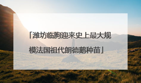 潍坊临朐迎来史上最大规模法国祖代朗德鹅种苗
