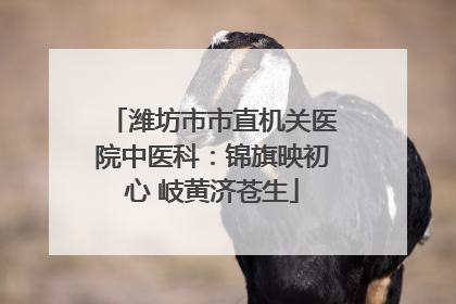 潍坊市市直机关医院中医科：锦旗映初心 岐黄济苍生