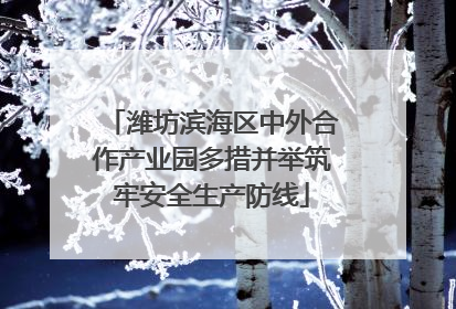 潍坊滨海区中外合作产业园多措并举筑牢安全生产防线