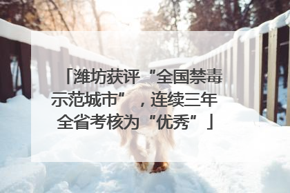 潍坊获评“全国禁毒示范城市”，连续三年全省考核为“优秀”