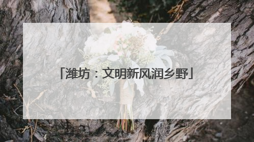 潍坊：文明新风润乡野