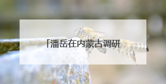 潘岳在内蒙古调研时强调：以推进中华民族共同体建设为主线推动边疆民族地区高质量发展
