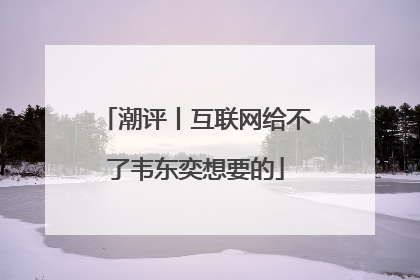 潮评丨互联网给不了韦东奕想要的
