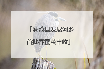 澜沧县发展河乡首批春蚕茧丰收