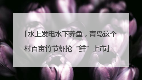 水上发电水下养鱼，青岛这个村百亩竹节虾抢“鲜”上市