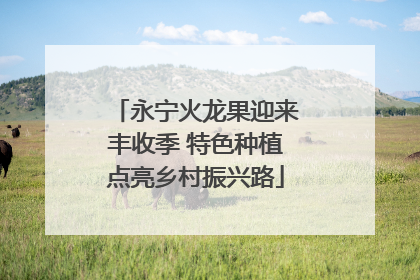 永宁火龙果迎来丰收季 特色种植点亮乡村振兴路