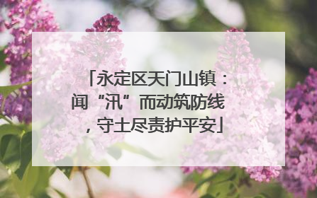 永定区天门山镇：闻“汛”而动筑防线，守土尽责护平安