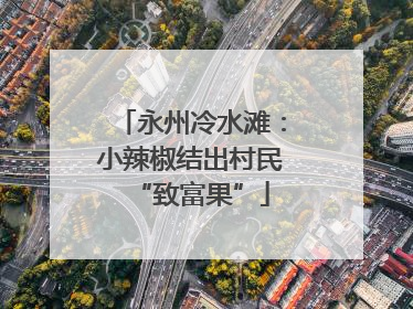 永州冷水滩：小辣椒结出村民“致富果”