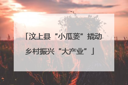 汶上县“小瓜蒌”撬动乡村振兴“大产业”