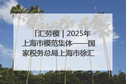汇劳模｜2025年上海市模范集体——国家税务总局上海市徐汇区税务局第一税务所