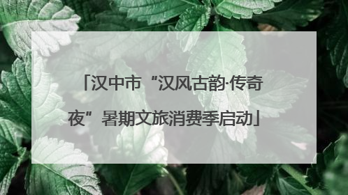 汉中市“汉风古韵·传奇夜”暑期文旅消费季启动