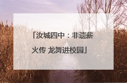 汝城四中：非遗薪火传 龙舞进校园