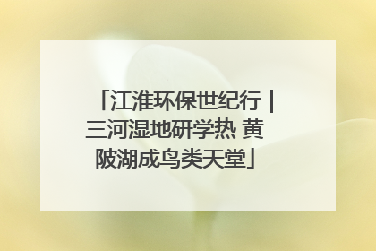 江淮环保世纪行｜三河湿地研学热 黄陂湖成鸟类天堂