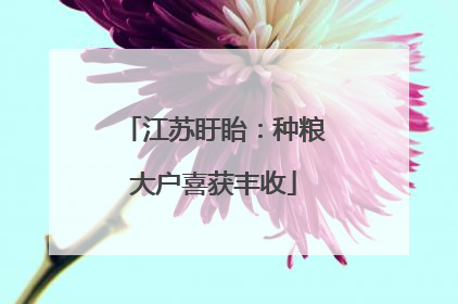 江苏盱眙：种粮大户喜获丰收